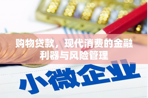 耒阳购物贷款，现代消费的金融利器与风险管理