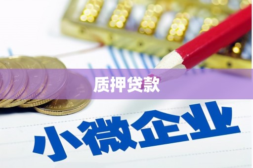 遂宁质押贷款