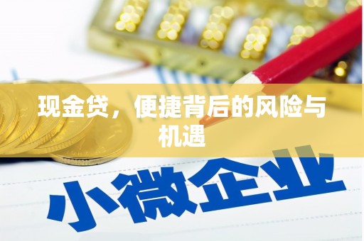 甘谷现金贷，便捷背后的风险与机遇