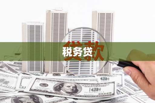 民勤税务贷