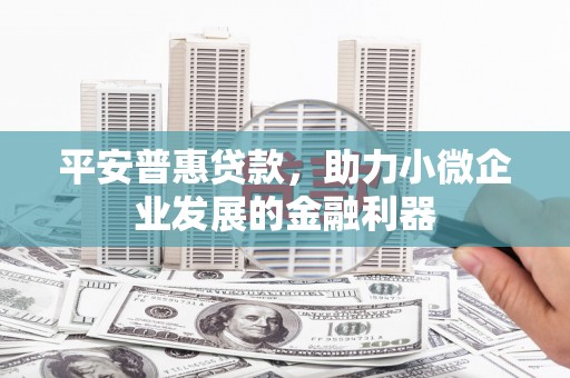 资源平安普惠贷款，助力小微企业发展的金融利器