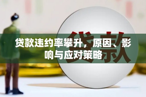 兴宾贷款违约率攀升，原因、影响与应对策略