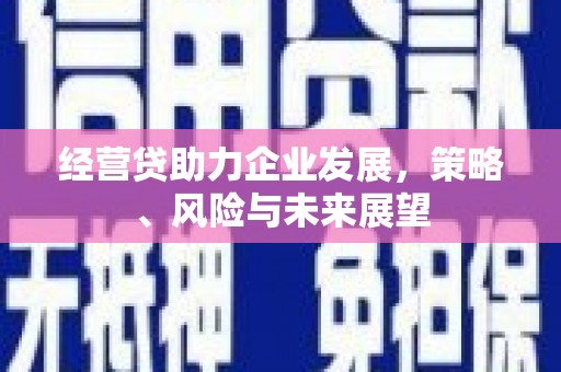 鹤岗经营贷助力企业发展，策略、风险与未来展望
