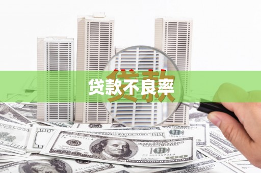龙凤贷款不良率