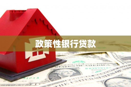 双清政策性银行贷款