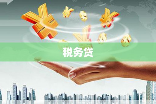 弋阳税务贷