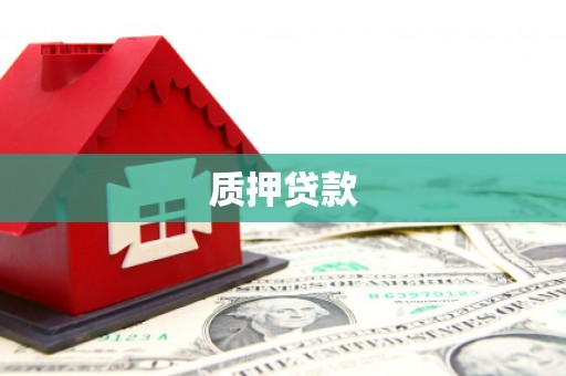 郴州质押贷款