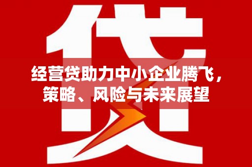 清城经营贷助力中小企业腾飞，策略、风险与未来展望
