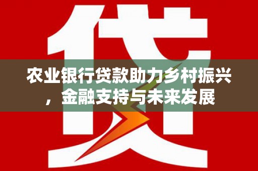 白云农业银行贷款助力乡村振兴，金融支持与未来发展