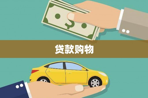 法库贷款购物