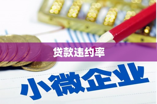西昌贷款违约率