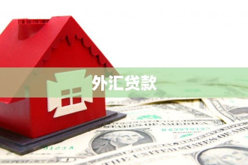 天桥外汇贷款