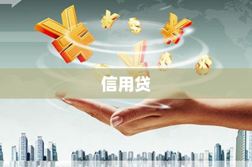 普湾新区信用贷