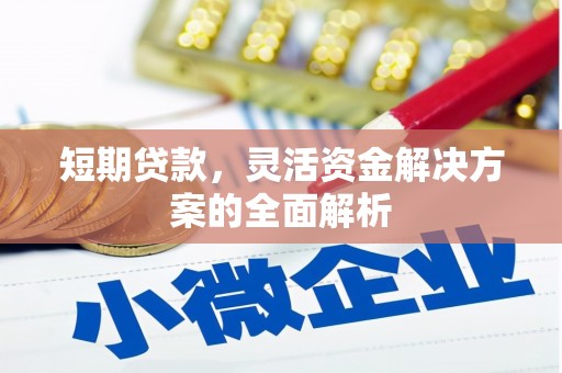 芙蓉短期贷款，灵活资金解决方案的全面解析