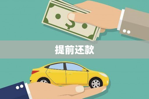 曲麻莱提前还款