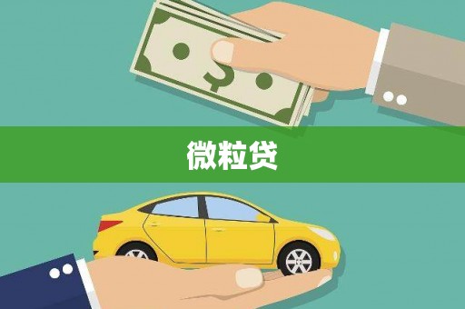 阿巴嘎旗微粒贷