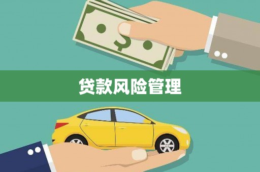 宁洱贷款风险管理