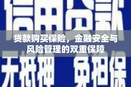 六横贷款购买保险，金融安全与风险管理的双重保障