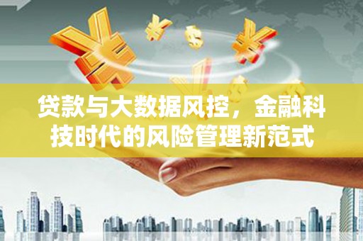 陵城贷款与大数据风控，金融科技时代的风险管理新范式