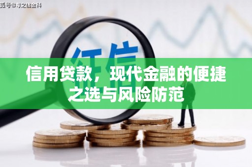 白河信用贷款，现代金融的便捷之选与风险防范