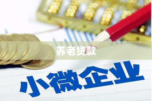 云梦养老贷款