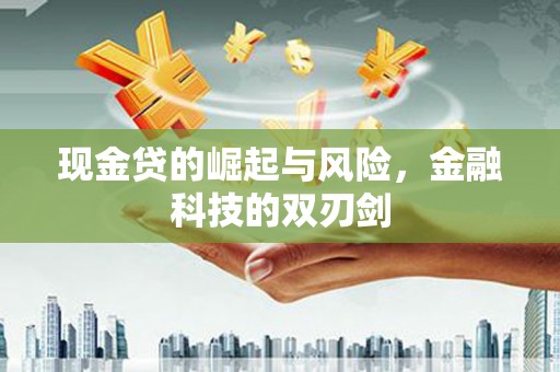 舞阳现金贷的崛起与风险，金融科技的双刃剑
