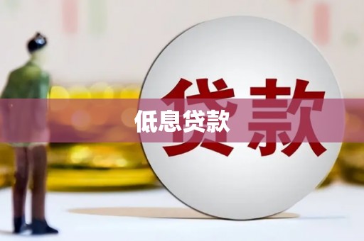 玄武低息贷款
