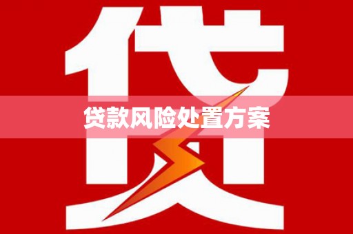 金塘贷款风险处置方案