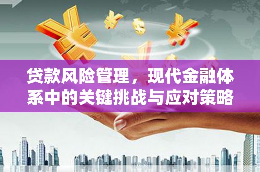 玉州贷款风险管理，现代金融体系中的关键挑战与应对策略