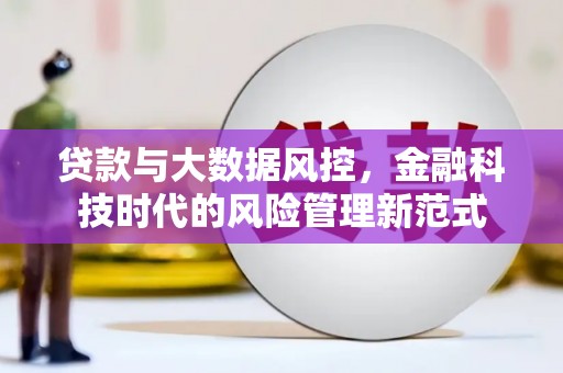 台东贷款与大数据风控，金融科技时代的风险管理新范式