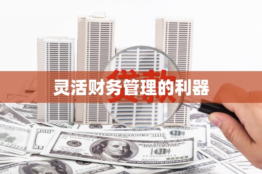 绩溪灵活财务管理的利器