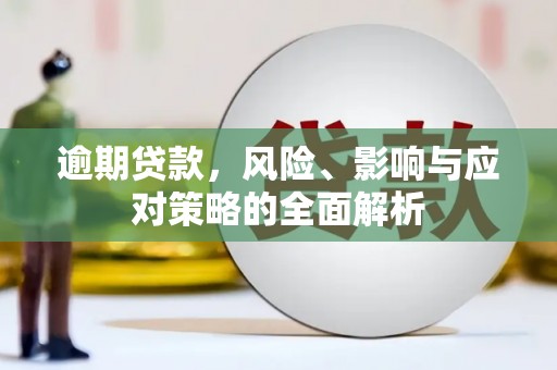 弋阳逾期贷款，风险、影响与应对策略的全面解析