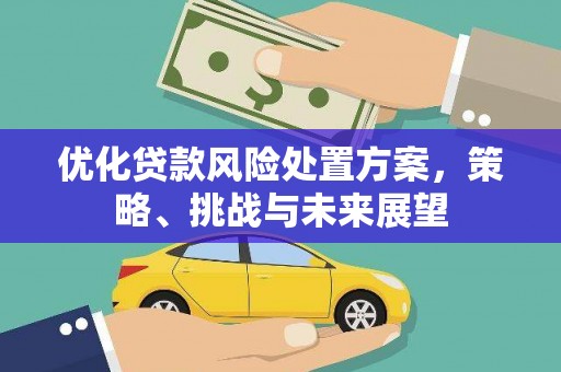 凤泉优化贷款风险处置方案，策略、挑战与未来展望