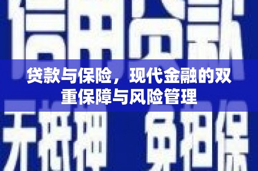 永清贷款与保险，现代金融的双重保障与风险管理
