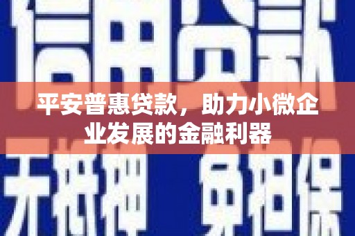 文峰平安普惠贷款，助力小微企业发展的金融利器