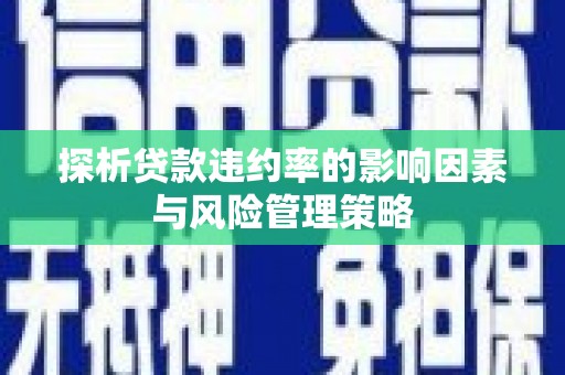 布拖探析贷款违约率的影响因素与风险管理策略