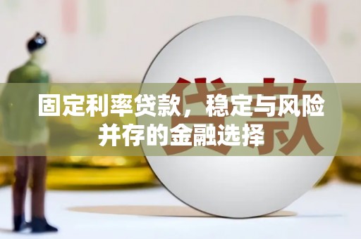 清流固定利率贷款，稳定与风险并存的金融选择