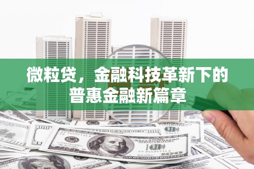 江口微粒贷，金融科技革新下的普惠金融新篇章