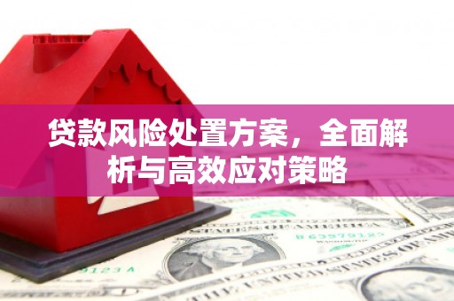 花地玛堂区贷款风险处置方案，全面解析与高效应对策略