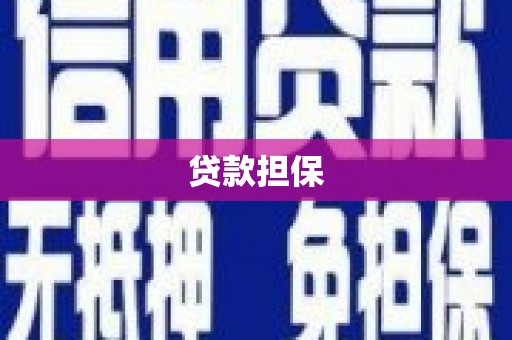 公安贷款担保
