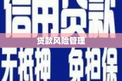 瀍河贷款风险管理