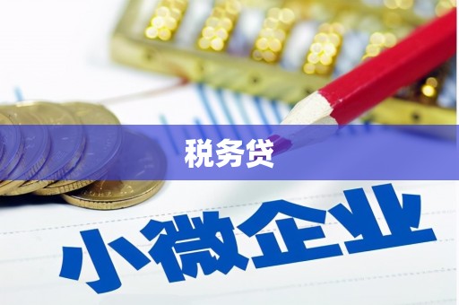 共和税务贷