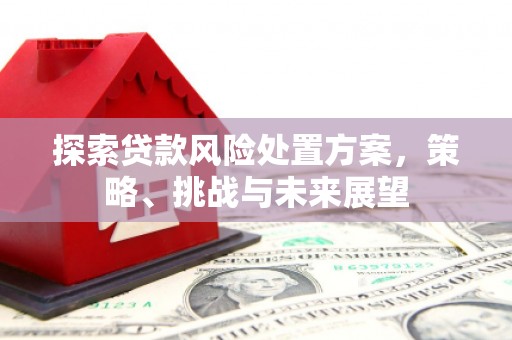 永和探索贷款风险处置方案，策略、挑战与未来展望