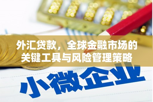 禄丰外汇贷款，全球金融市场的关键工具与风险管理策略