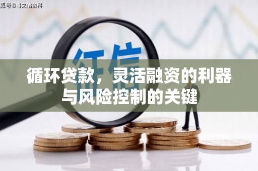 务川循环贷款，灵活融资的利器与风险控制的关键