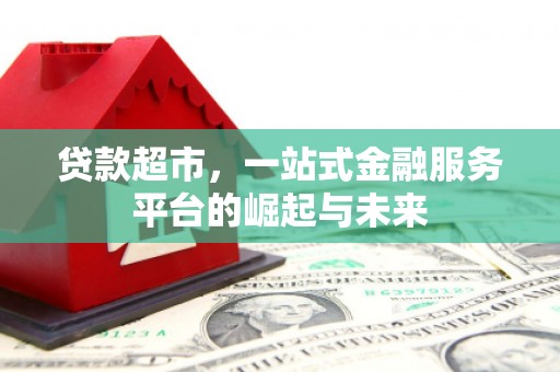 板芙贷款超市，一站式金融服务平台的崛起与未来