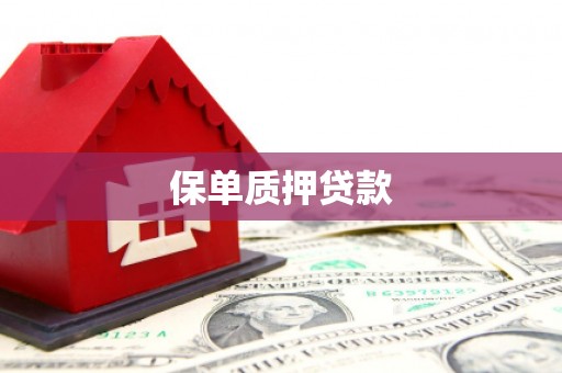 南屯保单质押贷款
