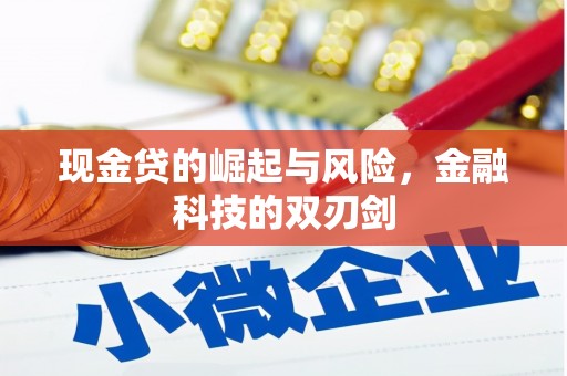 士林现金贷的崛起与风险，金融科技的双刃剑