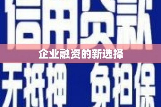 安南企业融资的新选择