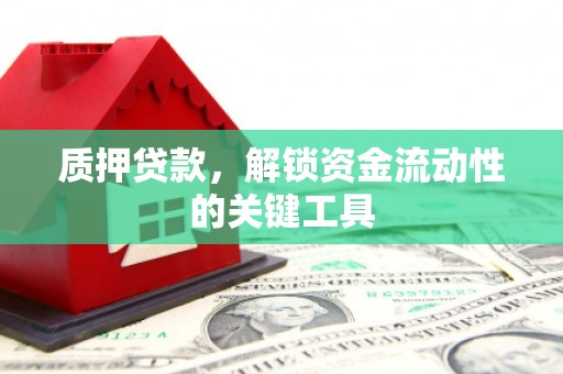 解放质押贷款，解锁资金流动性的关键工具